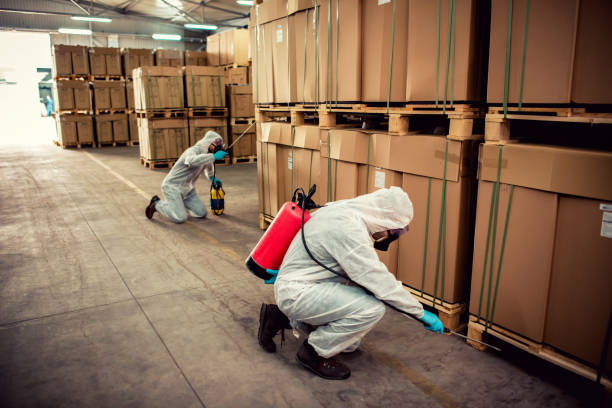 Best Pest Control Cost  in Broad Creek, NC