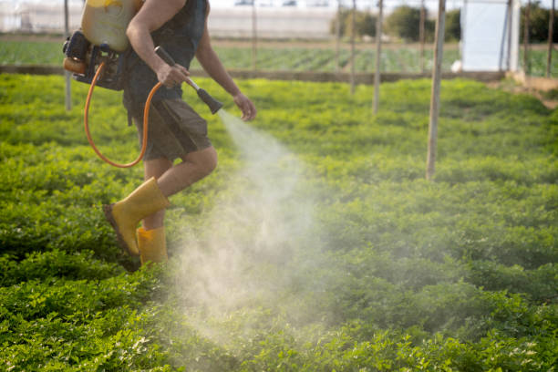 Best Affordable Pest Control Services  in Broad Creek, NC