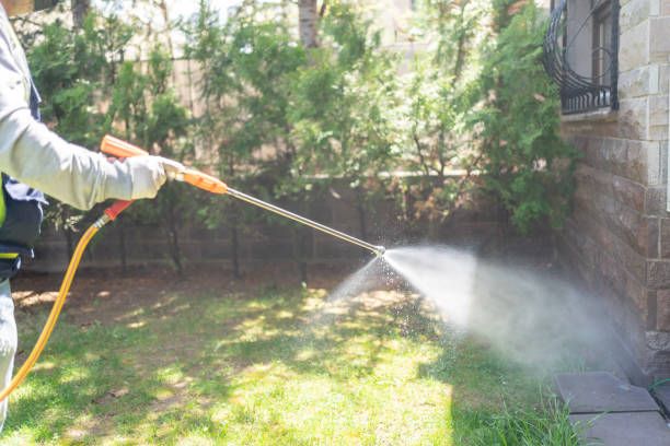 Best Best Pest Control Companies  in Broad Creek, NC